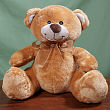 Plush Brown Teddy Bear 890003